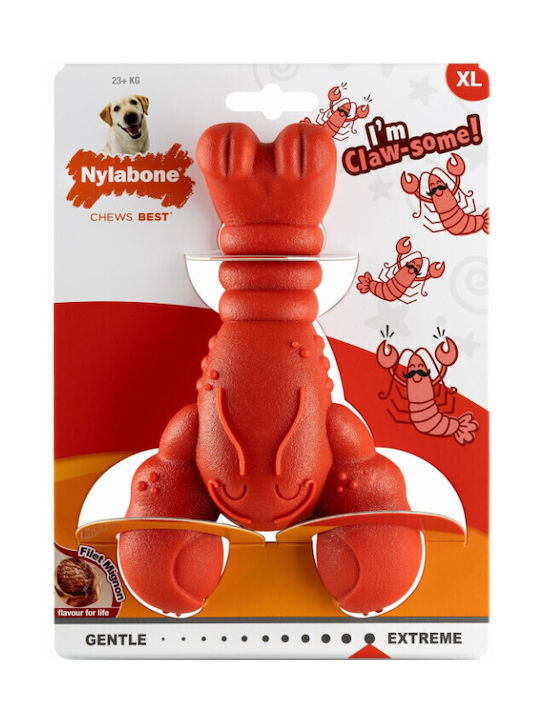 Nylabone Hundespielzeug Knochen Kauenspiel aus Gummi Klein Rote