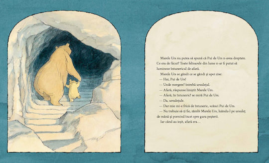 Can't You Sleep Little Bear By Martin Waddell Illustrated By Barbara Firth