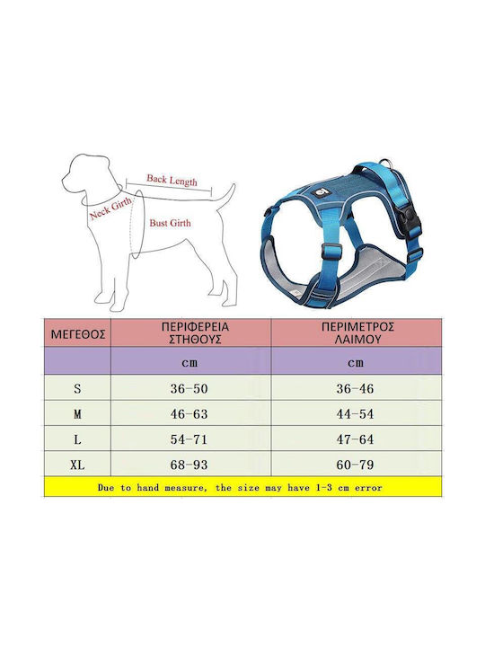 Value Imports Hundegeschirr Light Blue L127LB
