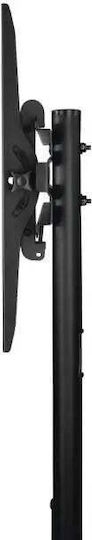 HAMA 00220874 TV-Halterung Wandmontage bis 75" und 40kg Schwarz