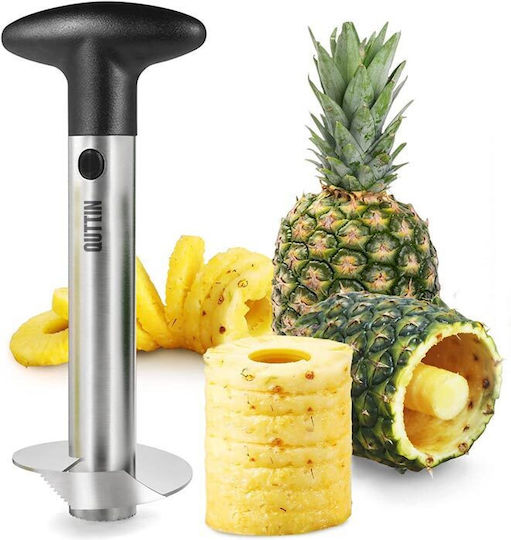 Stainless Steel Pineapple Corer