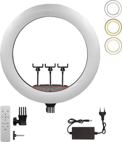 Ring Light 56cm with Tripod Floor and Mobile Holder