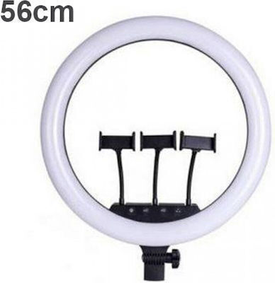 Ring Light 56cm with Tripod Floor and Mobile Holder