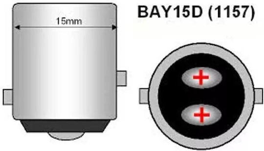 Lămpi Autoturismului P21/5W LED 5500K Alb rece 12V 1buc