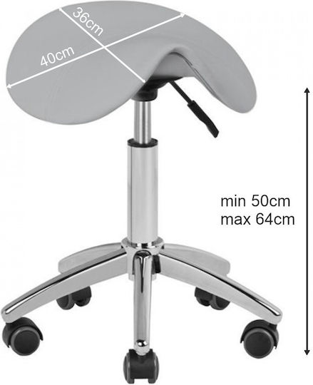 Salon Stools Scaun