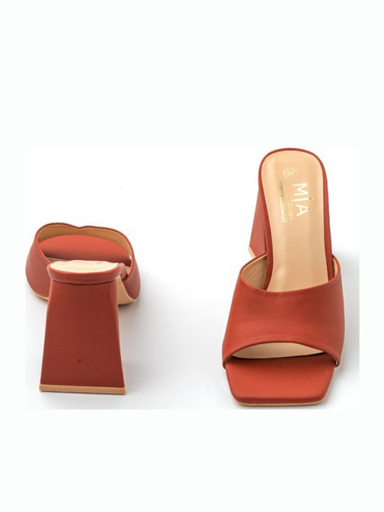 Mules mit Chunky Hoch Absatz in Braun Farbe