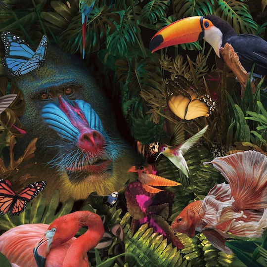 Selvatica Картина Стъкло 100x100см