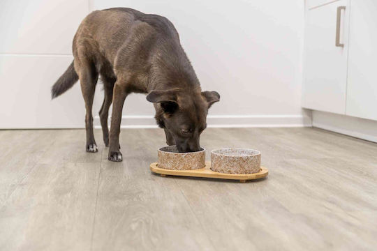 Set aus Keramik-Bambusschalen 2 X 0,8lt/ø16cm Maße 39x8x20cm