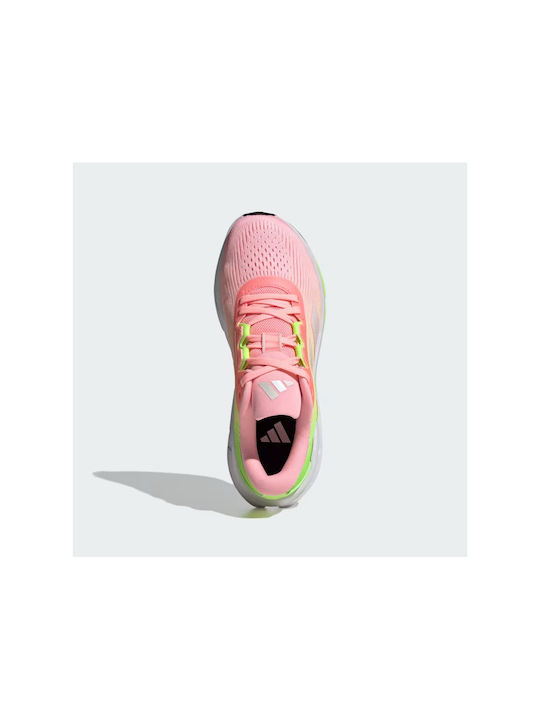 adidas Questar 3 Running Multicolour