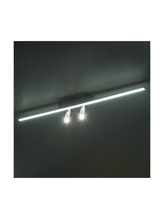 Inlight Monos LED Bianco reglabil Spot în Culoare Negru