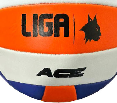 Liga Sport Volley Ball Indoor No.5