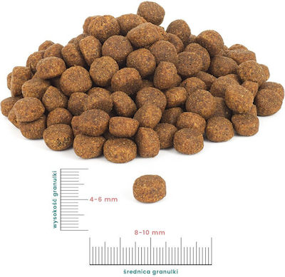 Dog Food 1kg Hrană Uscată pentru Câini fără Gluten cu Carne de vită și Cartofi