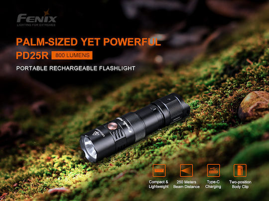 Fenix Wiederaufladbar Taschenlampe LED IP68 mit maximaler Helligkeit 800lm Schwarz