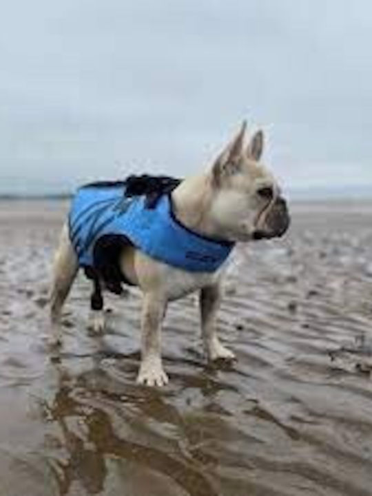 EZYDOG Life Jacket Σωσίβιο σκύλου DFD X2 Boost Γαλάζιο S (L:35-50cm) (G:56-65cm)