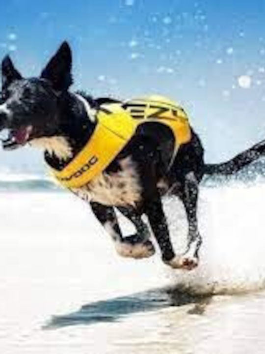 EZYDOG Life Jacket Σωσίβιο σκύλου DFD X2 Boost Ροζ S (L:35-50cm) (G:56-65cm)