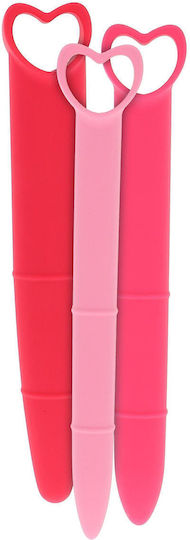 Boss Of Toys Accesorii BDSM Roz 3 Bucăți