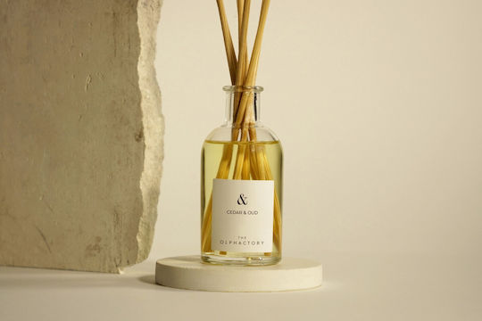 Αρωματικό Χώρου Στικς 100ml Cedar & Oud & Diffuser Olphactory