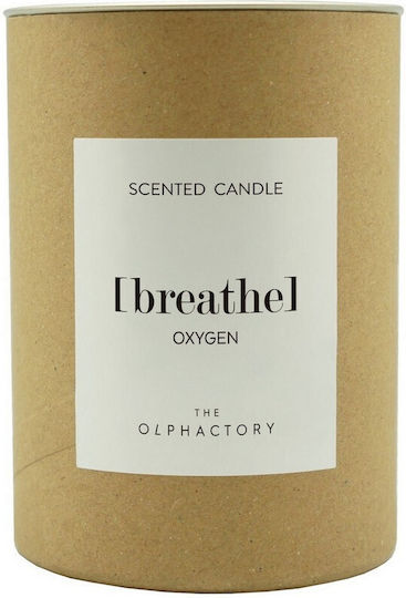 Ambientair Aromatic Candle in Brown Jar 200g