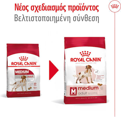 Royal Canin Adult Medium 4kg Trockenfutter ohne Gluten für erwachsene Hunde mittlerer Rassen mit Geflügel