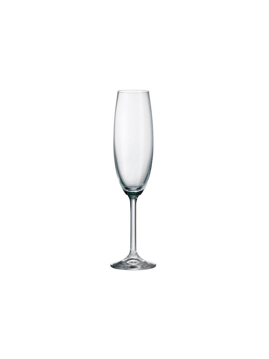 Bohemia Colibri Glass Champagne made of Crystal Goblet 220ml