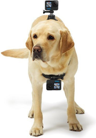 GoPro Fetch (Dog Harness) Dog Support Base for GoPro