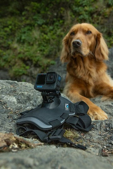 GoPro Fetch (Dog Harness) Dog Support Base for GoPro