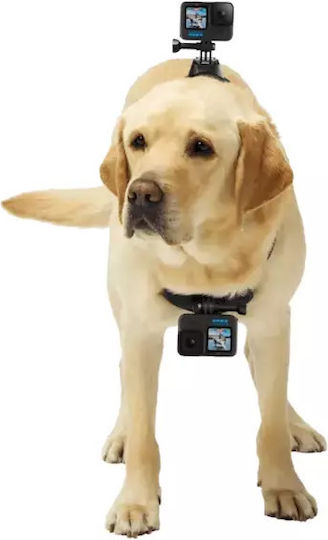 GoPro Fetch (Dog Harness) Dog Support Base for GoPro