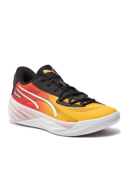 All-Pro Nitro Showtime Niedrig Basketballschuhe Mehrfarbig