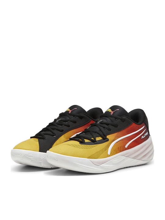 PUMA