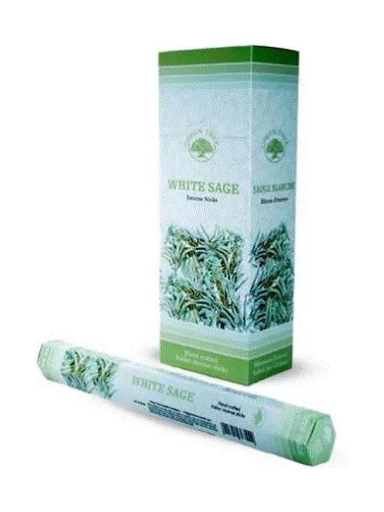 Αρωματικά Στικ Θυμιάματος Green Tree White Sage Λευκό Φασκόμηλο 20τμχ