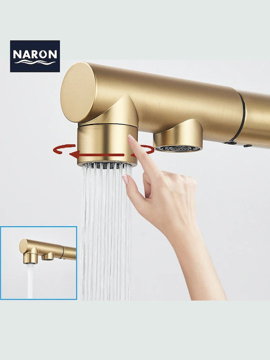 Naron Kitchen Faucet Counter with Shower Brushed Gold