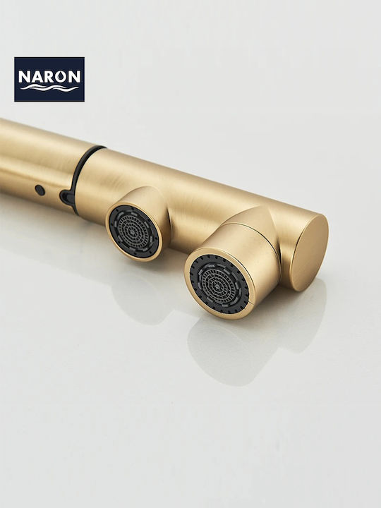 Naron Kitchen Faucet Counter with Shower Brushed Gold