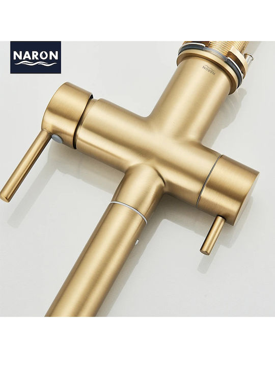 Naron Kitchen Faucet Counter with Shower Brushed Gold