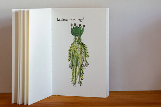 Bookaneer Notizbuch Mehrfarbig