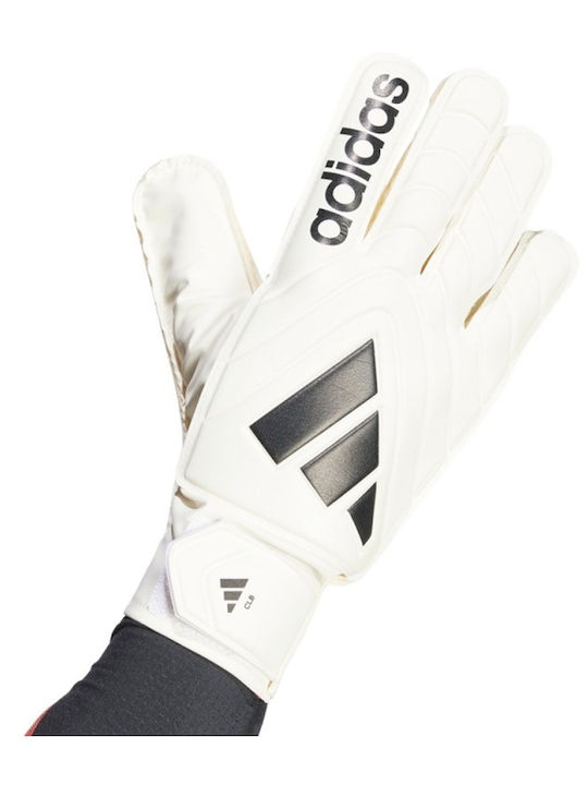 adidas Copa Gl Clb Γάντια Τερματοφύλακα Ενηλίκων Μπεζ