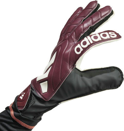 adidas Copa Gl Clb Torwarthandschuhe Erwachsene Lila