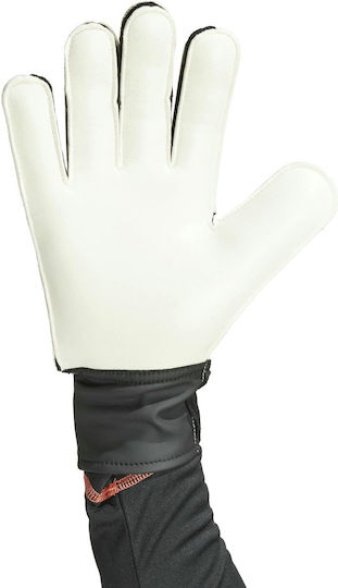 adidas Copa Gl Clb Torwarthandschuhe Erwachsene Lila