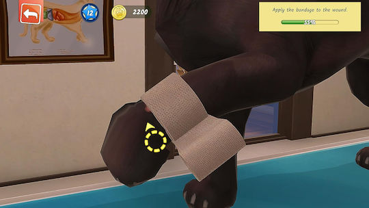 Animal Hospital PS5 Game