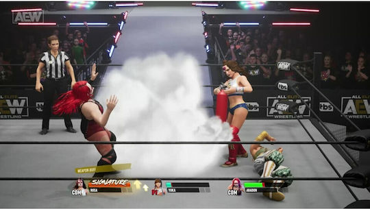 AEW: Fight Forever PS4 Game