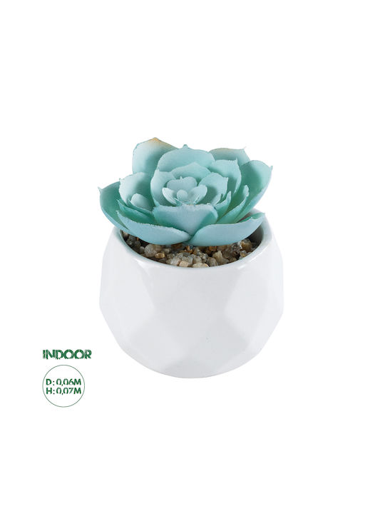 Globostar Artificial Garden Succulent Echeveria 20996 Decorative Plant Succulent Echeveria H7cm