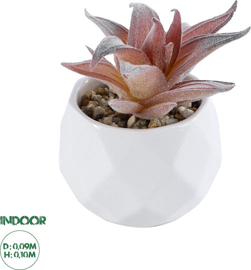 Globostar Artificial Garden Succulent Aloe 21006 Decorative Plant Succulent Aloe H10cm Globostar Artificial Garden Succulent Aloe 21006 Decorative Plant Succulent Aloe H10cm