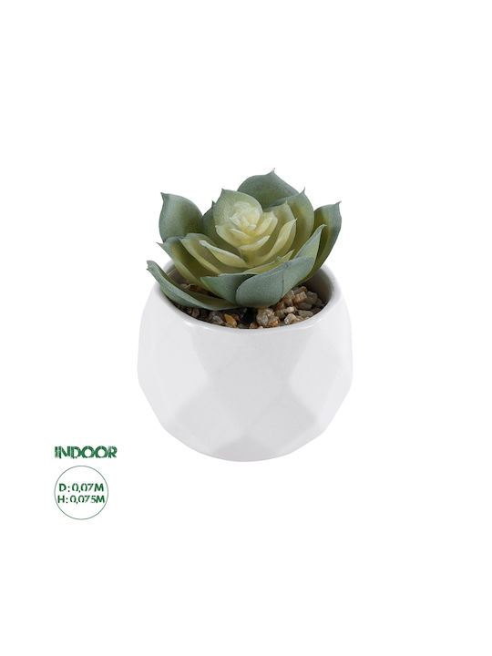 Globostar Artificial Garden Succulent Echeveria 20980 Decorative Plant Succulent Echeveria H7.5cm