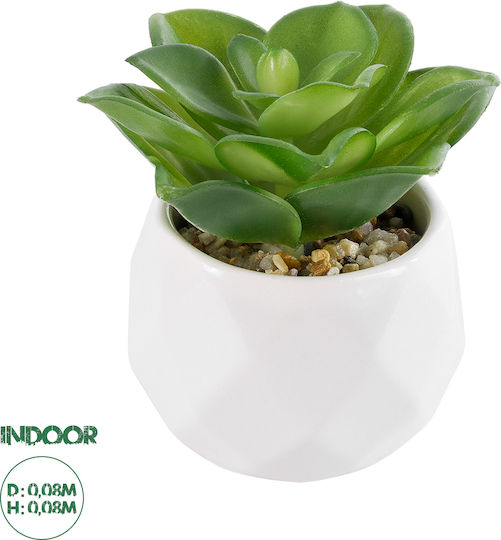 GloboStar Plantă Artificială în Ghiveci Mic Planta suculentă 8cm GloboStar Plantă Artificială în Ghiveci Mic Planta suculentă 8cm