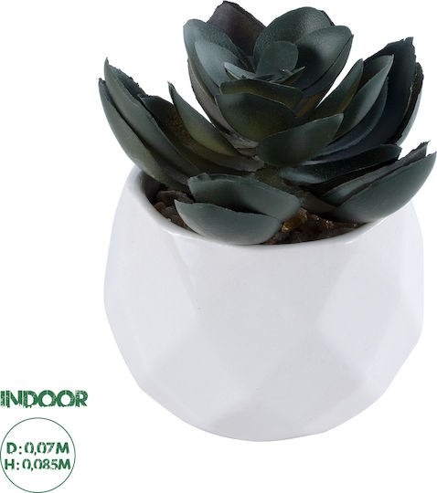 Planta decorativă artificială Globostar Suculent Echeveria 20990 Succulent Echeveria H8.5cm din categoria Flori și Plante Artificiale Decorative Planta decorativă artificială Globostar Suculent Echeveria 20990 Succulent Echeveria H8.5cm din categoria Flori și Plante Artificiale Decorative