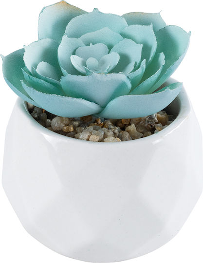 Globostar Artificial Garden Succulent Echeveria 20996 Decorative Plant Succulent Echeveria H7cm