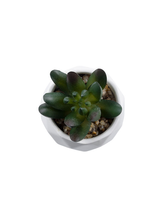 Globostar Artificial Garden Succulent Crassula 20979 Decorative Plant Succulent Crassula H9cm