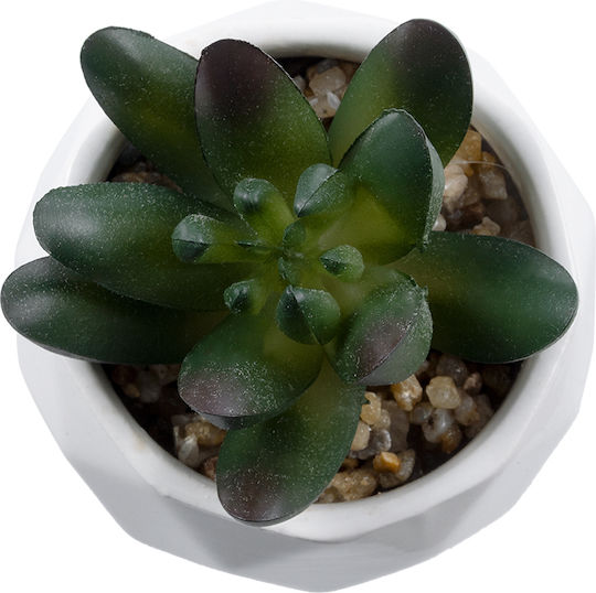 Globostar Künstliche Garten Sukkulente Crassula 20979 Dekorative Pflanze Sukkulente Crassula H9cm