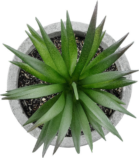 Globostar Künstliche Garten Sukkulente Aloe Dekorative Pflanze Sukkulente Aloe H10cm GloboStar