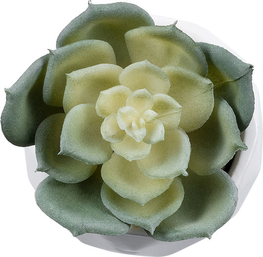 Globostar? Artificial Garden Succulent Echeveria 20980 Διακοσμητικό Φυτό Παχύφυτο Εχεβέρια Υ7.5cm