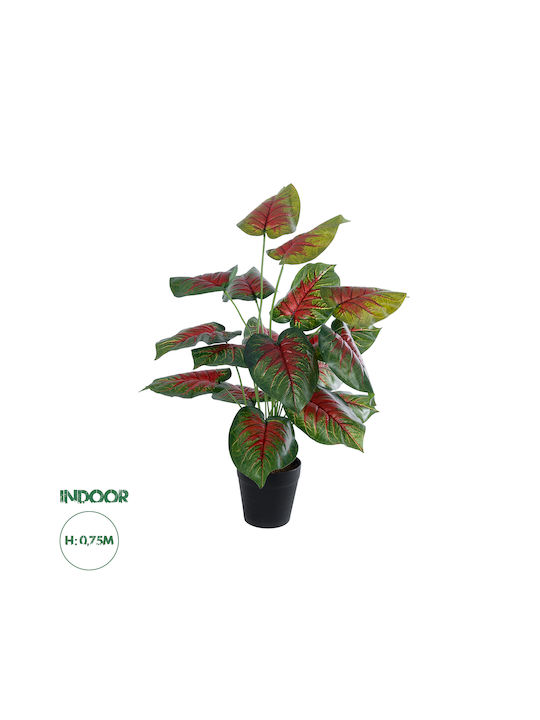 Globostar? Artificial Garden Caladium Mix 20911 Διακοσμητικό Φυτό Καλάντιουμ Υ75cm